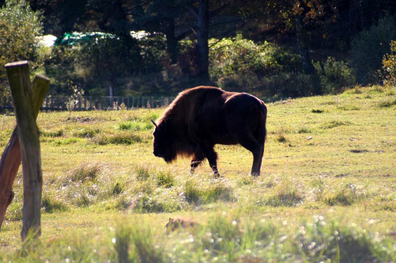 Killikus&reg; Fotographie